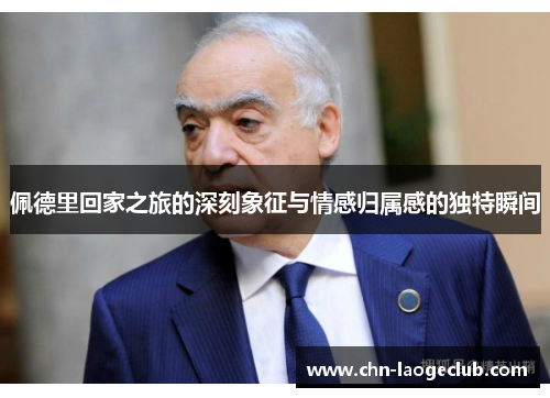 佩德里回家之旅的深刻象征与情感归属感的独特瞬间