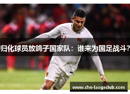 归化球员放鸽子国家队：谁来为国足战斗？
