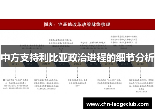 中方支持利比亚政治进程的细节分析