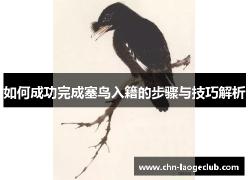 如何成功完成塞鸟入籍的步骤与技巧解析
