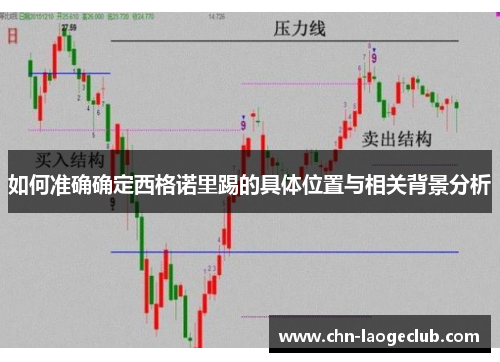 如何准确确定西格诺里踢的具体位置与相关背景分析
