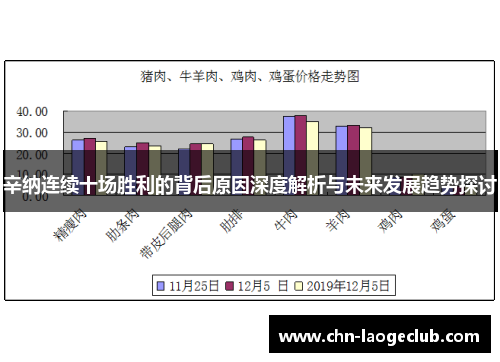 辛纳连续十场胜利的背后原因深度解析与未来发展趋势探讨