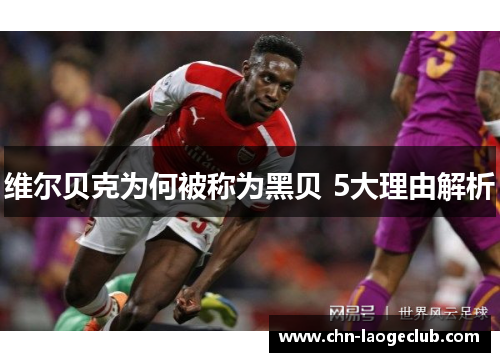 维尔贝克为何被称为黑贝 5大理由解析