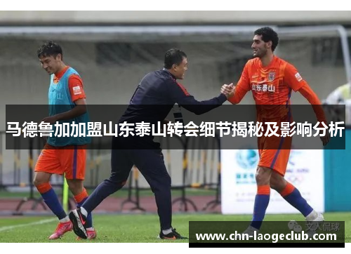 马德鲁加加盟山东泰山转会细节揭秘及影响分析